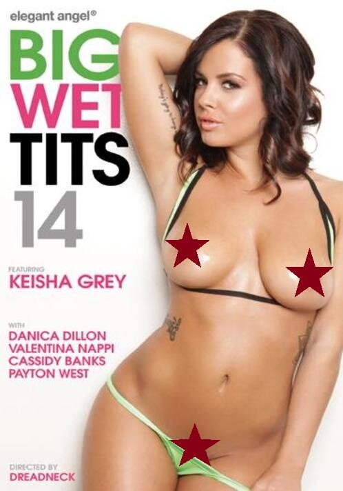 Big Wet Tits 14 (2015) постер