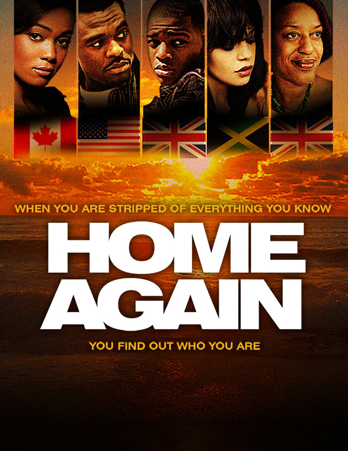 Снова дома (2012) постер