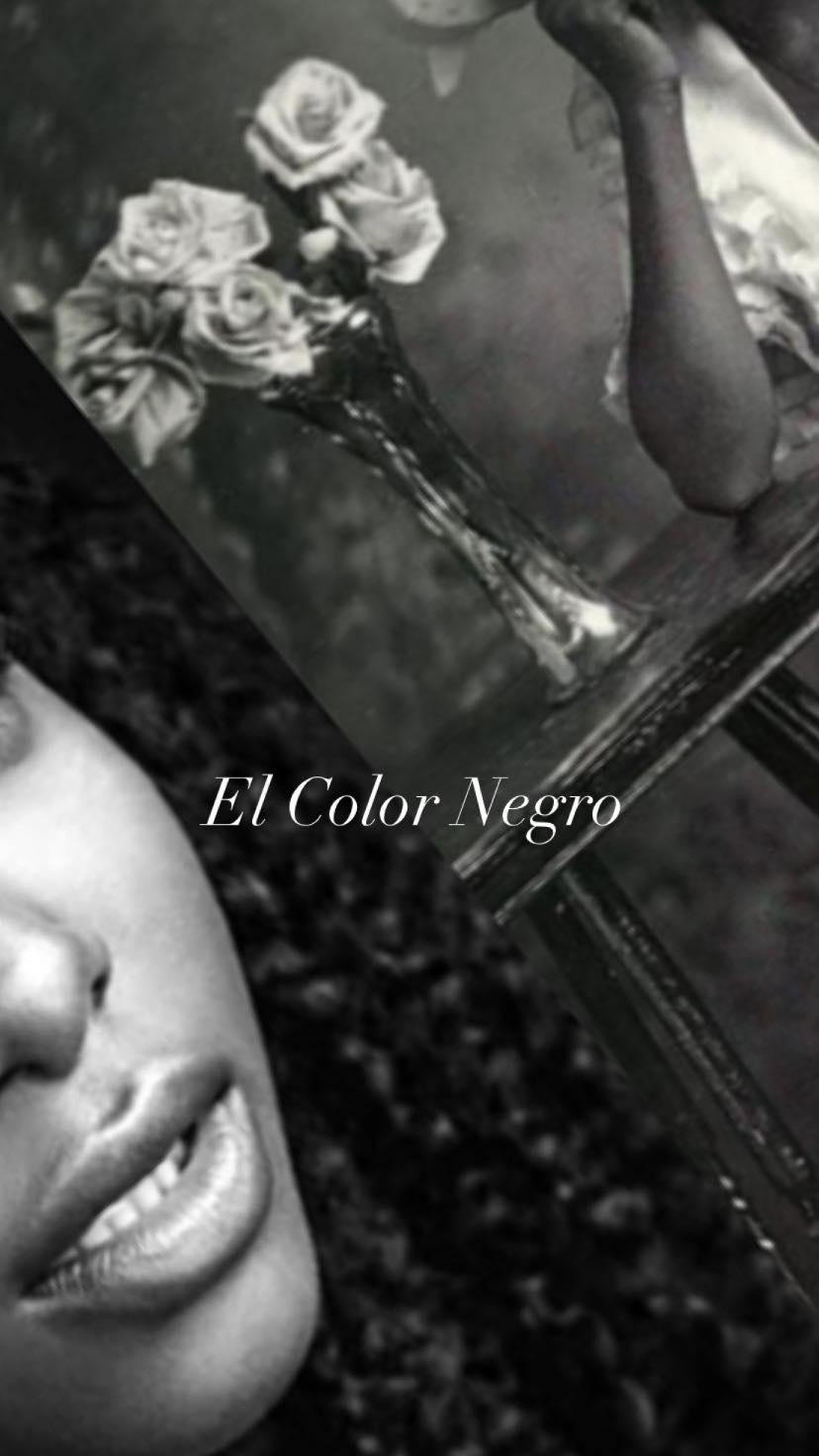 El Color Negro (2020) постер