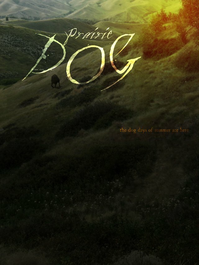 Пёс Прерии (2015) постер