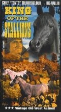 King of the Stallions (1942) постер