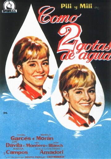 Как две капли воды (1964) постер