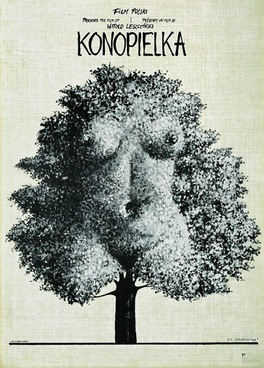 Коноплянка (1981) постер