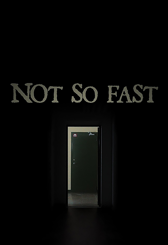 Не так быстро (2014) постер