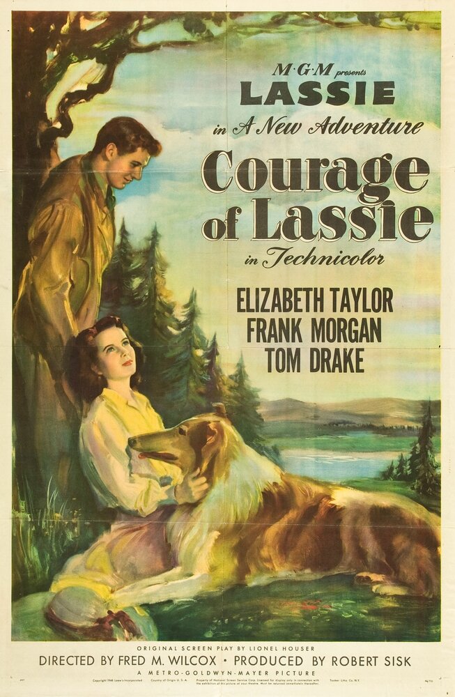 Храбрость Лэсси (1946) постер