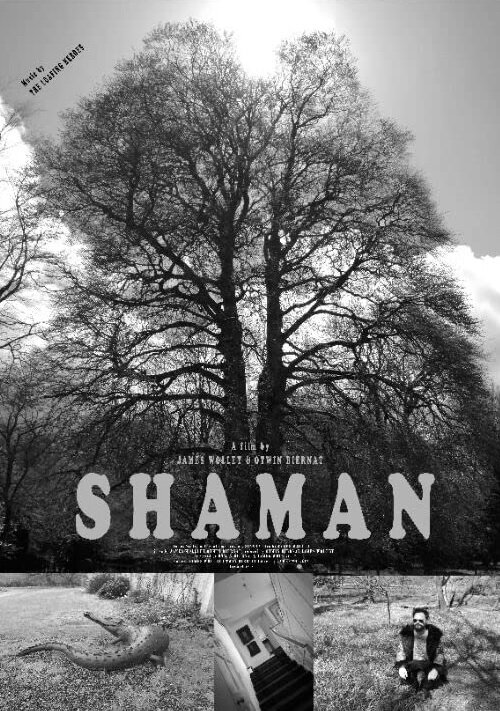 Shaman (2020) постер