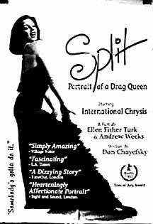 Split (1993) постер