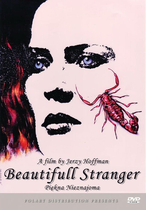 Прекрасная незнакомка (1992) постер