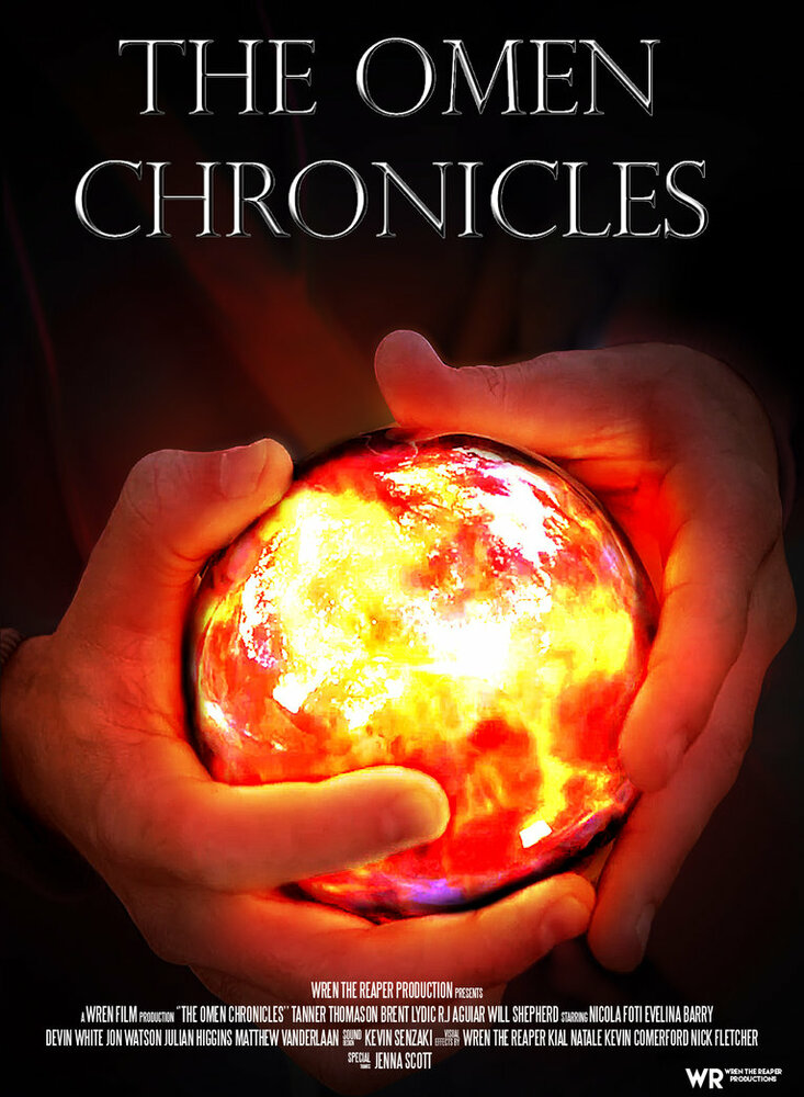 The OMEn Chronicles (2013) постер