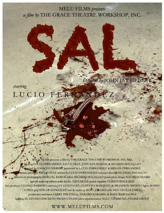Sal (2014) постер