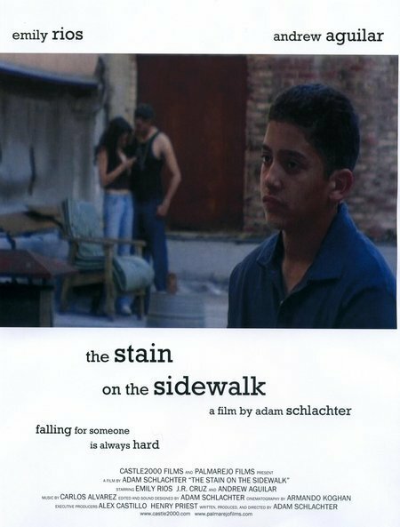 The Stain on the Sidewalk (2007) постер