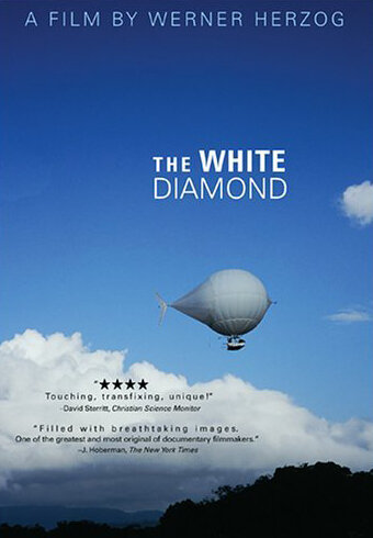 Белый бриллиант (2004) постер