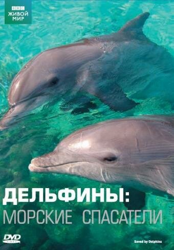 Дельфины: Морские спасатели (2008) постер