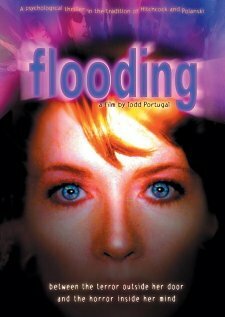 Flooding (2000) постер