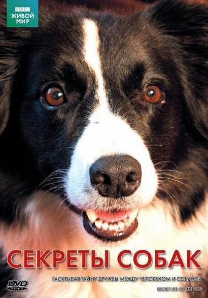BBC: Секреты собак (2010) постер