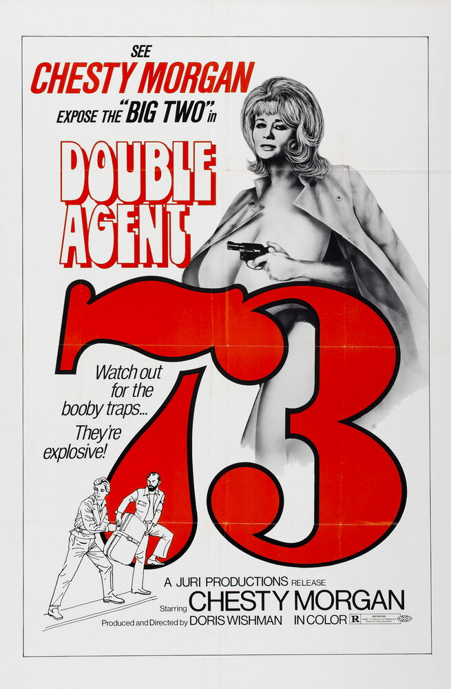 Двойной агент 73 (1974) постер