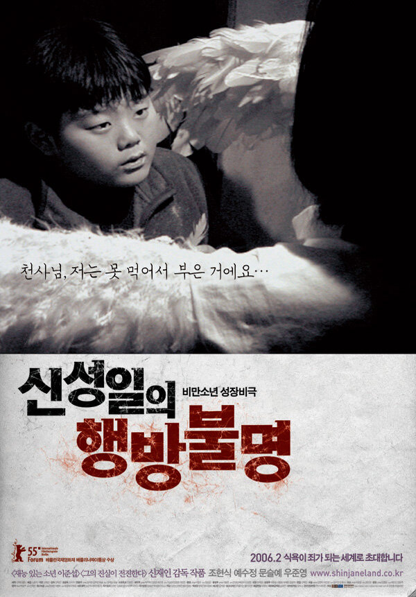 Щин Сон-иль потерялся (2004) постер