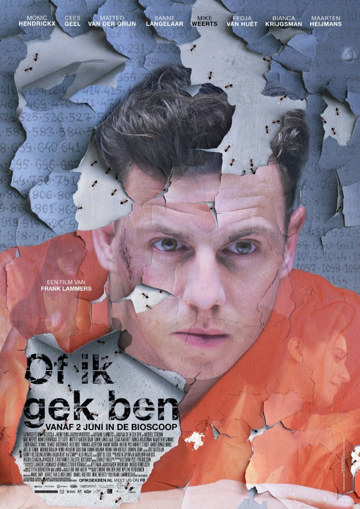 Of ik gek ben (2016) постер