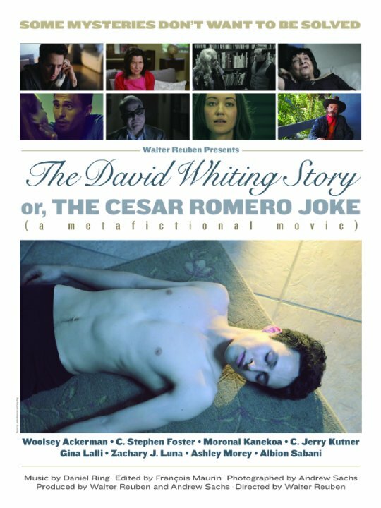 The David Whiting Story (2014) постер