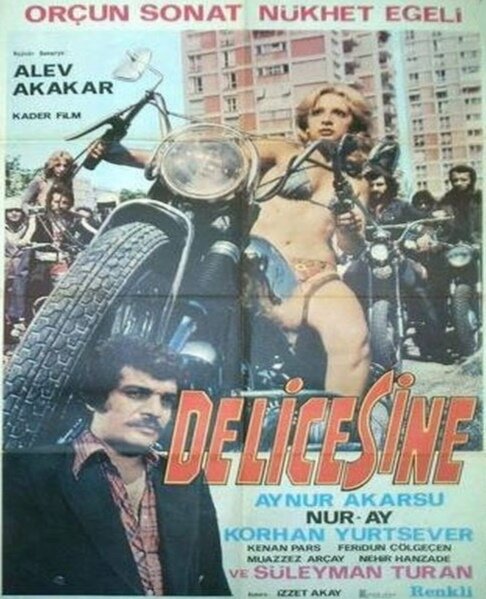 Delicesine (1975) постер