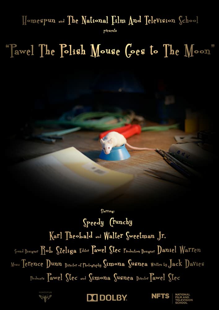 Pawel the Polish Mouse Goes to the Moon (2015) постер