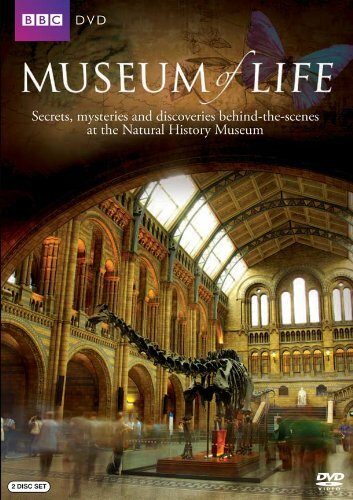 Museum of Life (2010) постер