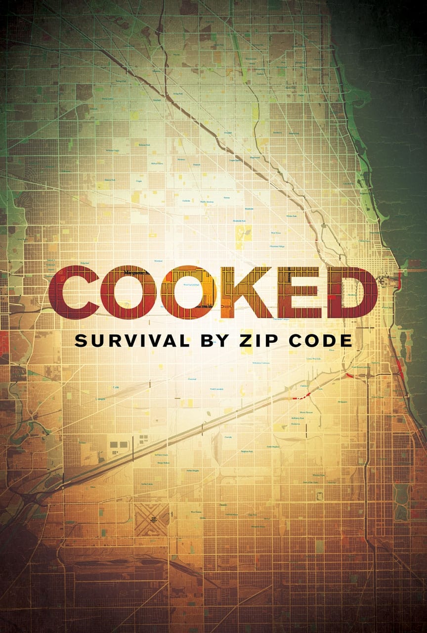 Cooked: Survival by Zip Code (2019) постер
