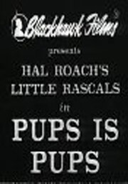 Щенки есть щенки (1930) постер
