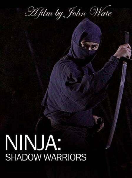 Ниндзя: Воины-тени (2012) постер