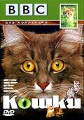 BBC: Кошки (1991) постер