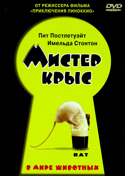 Мистер крыс (2000) постер