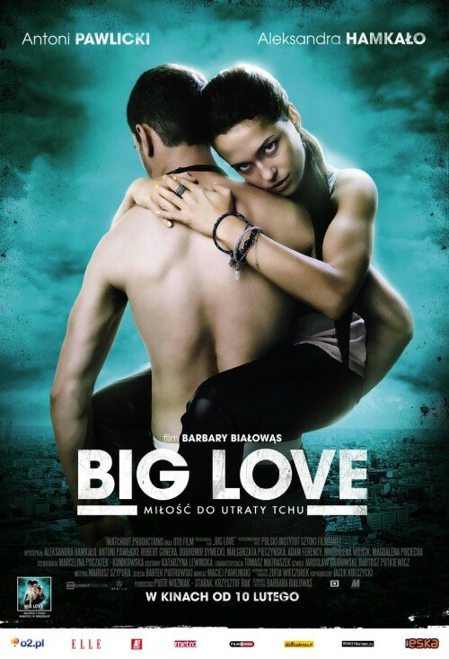 Большая любовь (2012) постер