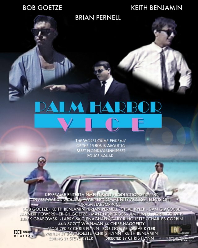 Palm Harbor Vice (1991) постер