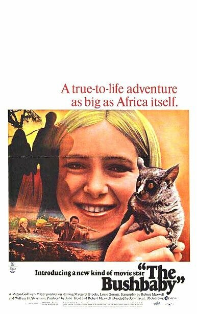 The Bushbaby (1969) постер