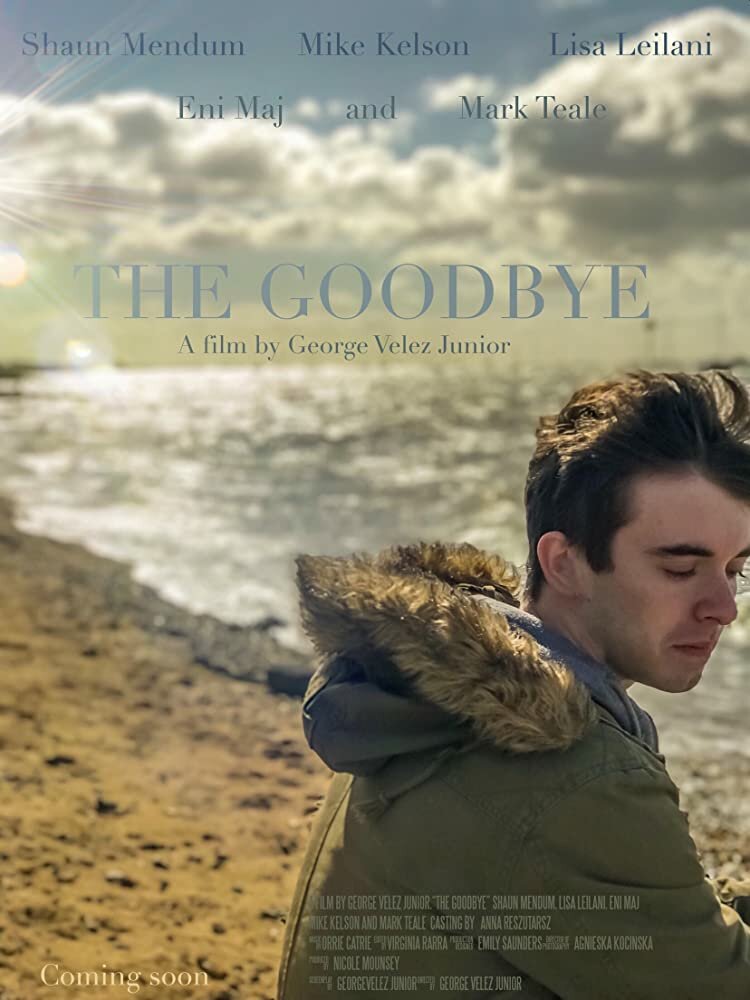 The Goodbye (2018) постер