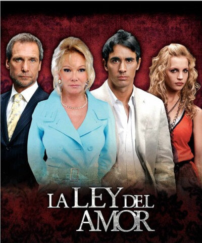 Закон любви (2006) постер