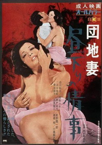 Роман в полдень (1971) постер