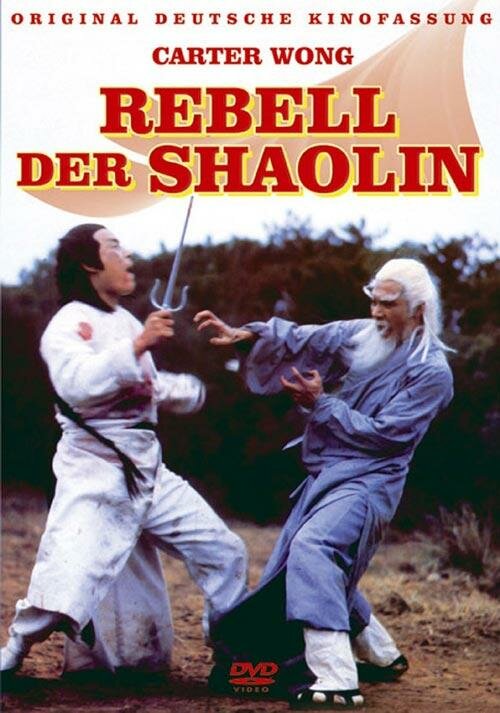 Предатель из Шаолиня (1977) постер