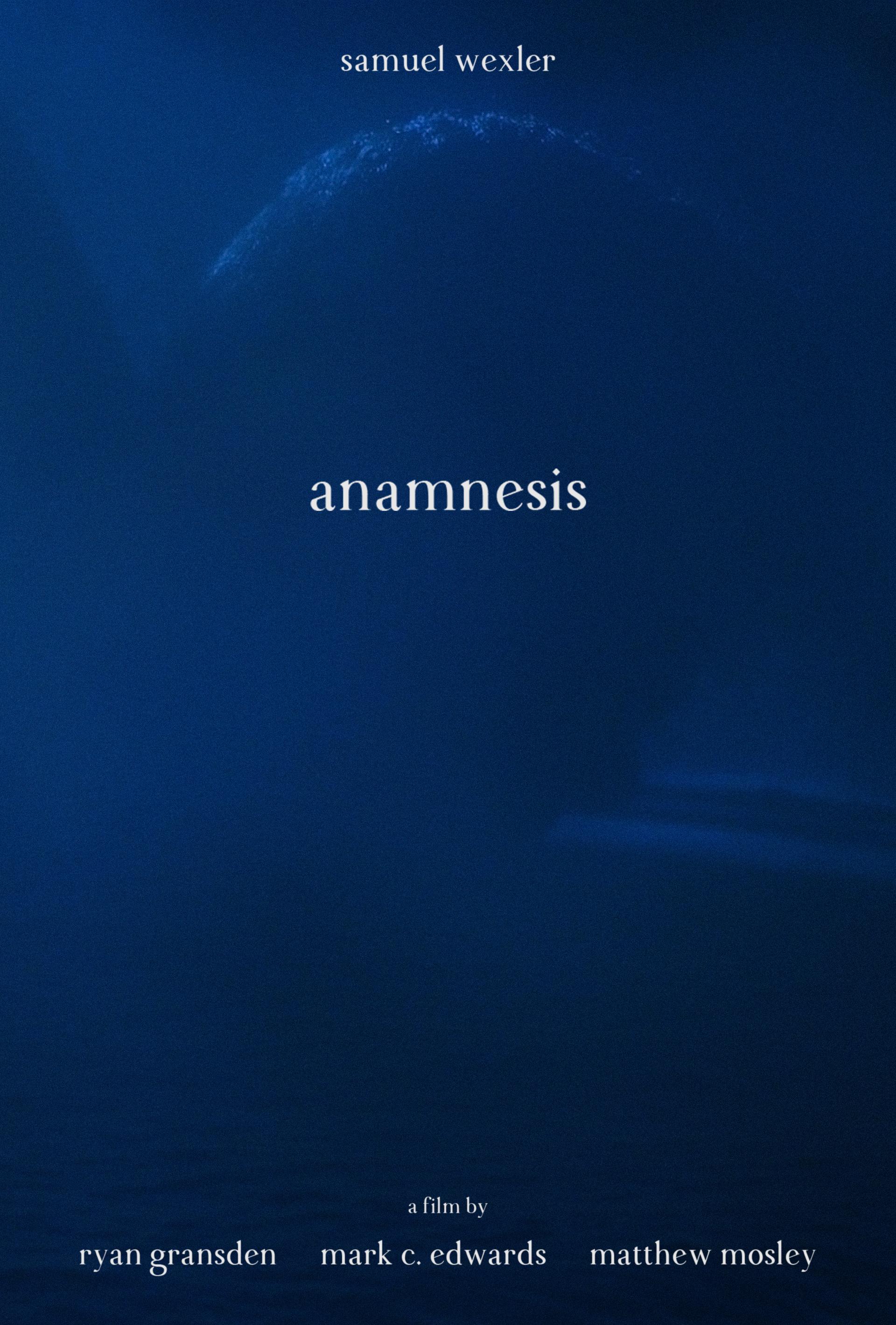 Anamnesis (2020) постер