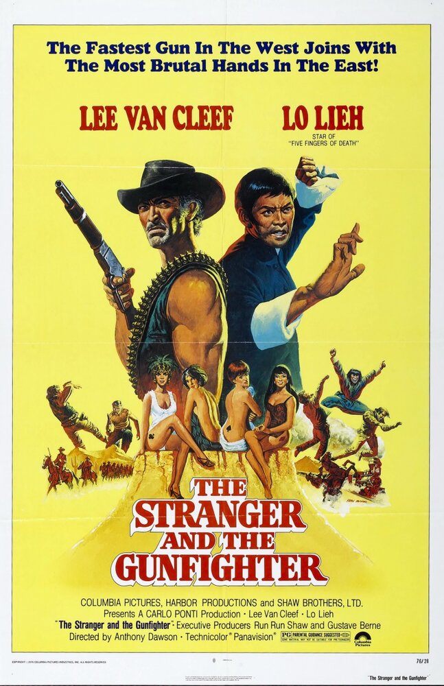 Незнакомец и стрелок (1974) постер