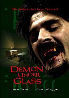 Demon Under Glass (2002) постер