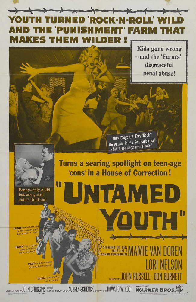 Неукротимая молодежь (1957) постер