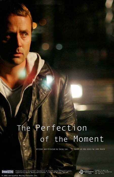The Perfection of the Moment (2006) постер