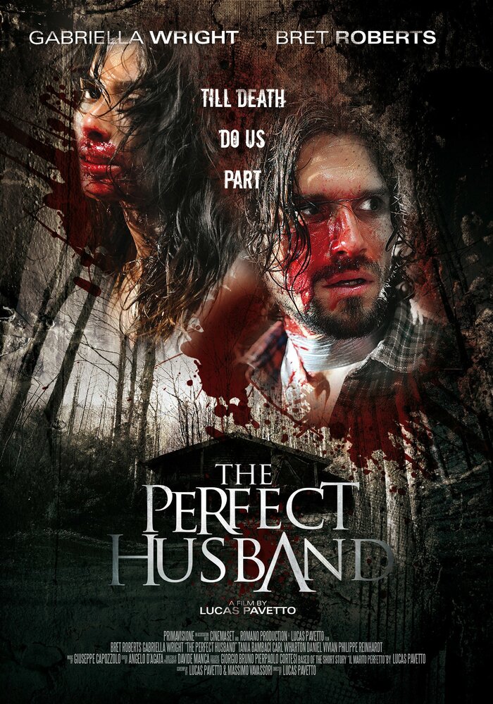 Идеальный муж (2014) постер