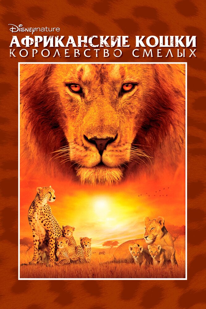 Африканские кошки: Королевство смелых (2011) постер